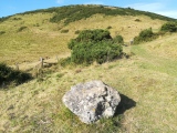 Click for full size image of Northdown (Dorset) (PID:282624) Northdown (Dorset)