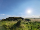 Click for full size image of Northdown (Dorset) (PID:282632) Northdown (Dorset)