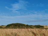 Click for full size image of Northdown (Dorset) (PID:282640) Northdown (Dorset)