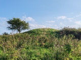 Click for full size image of Northdown (Dorset) (PID:282645) Northdown (Dorset)