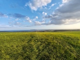Click for full size image of Northdown (Dorset) (PID:282660) Northdown (Dorset)