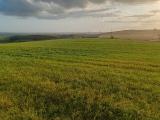 Click for full size image of Northdown (Dorset) (PID:282663) Northdown (Dorset)