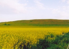 Maiden Castle (Dorset) - PID:40062