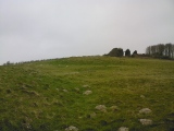 Click for full size image of Martin's Down Round Barrows (PID:37464) Martin's Down Round Barrows