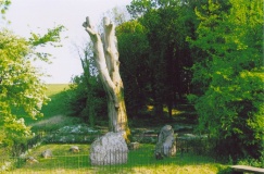 Nine Stones (Dorset) - PID:40015