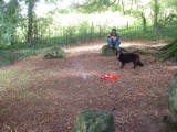 Click for full size image of Nine Stones (Dorset), Have you seen this man? (PID:9371) Nine Stones (Dorset), Have you seen this man?