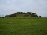 Bincombe Barrows