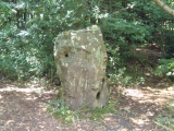 Click for full size image of Rempstone (PID:8157) Rempstone