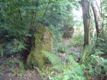 Rempstone - PID:8154