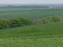 Upwey Ridgeway - PID:14183