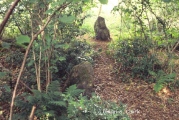 Click for full size image of Rempstone (PID:4868) Rempstone