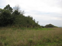 Conygar Hill Barrows - PID:84049