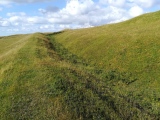 Click for full size image of Eggardon Hill (PID:270271) Eggardon Hill
