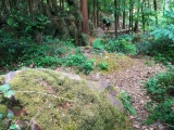 Click for full size image of Rempstone (PID:261256) Rempstone