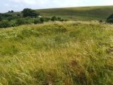 Click for full size image of Martin's Down Round Barrows (PID:270014) Martin's Down Round Barrows