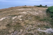 Click for full size image of Golden Cap Barrows (PID:270404) Golden Cap Barrows
