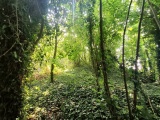 Click for full size image of Mount Pleasant (Dorset) (PID:270963) Mount Pleasant (Dorset)