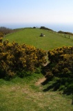 Swyre Head - PID:38421