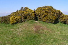 Swyre Head - PID:38633