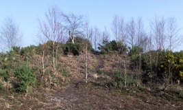 Stephen's Castle Tumulus - PID:74159
