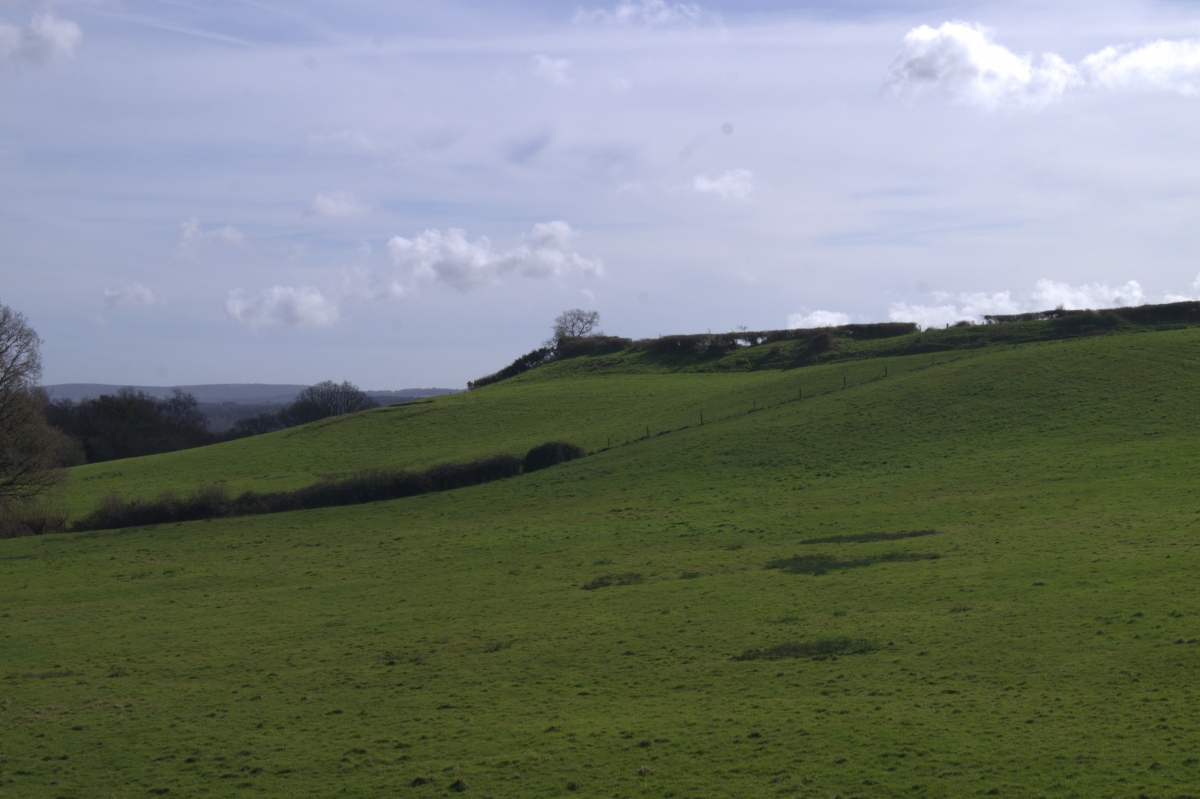Woodbury Hill (Dorset)