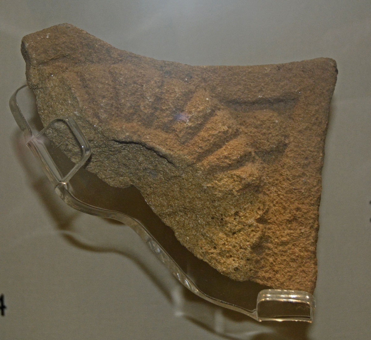 Sunderland Museum and Winter Gardens This fragment of cross arm, displayed behind glass, dates to the early eighth century. It is recorded as AS Corpus's Monkwearmouth 01. It was found during archaeological excavations at the Priory in 1966. The Corpus describes this as: