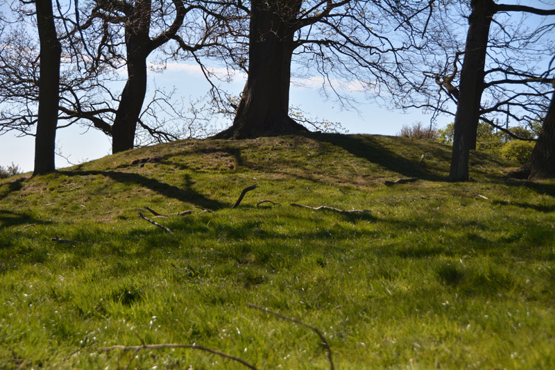 Ceoppa's Barrow