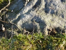 Barningham Moor 101 - PID:103800