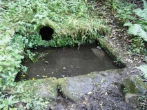 Lady Well, Gibside - PID:92221