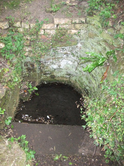 St. Helen's Well (North Cave)