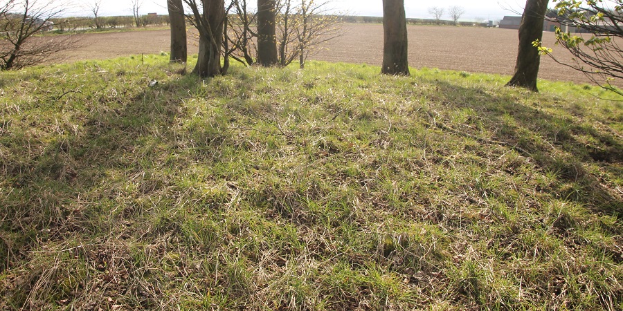 Click for full size image of Callis Wold Barrow Cemetery (PID:164204) Callis Wold Barrow Cemetery