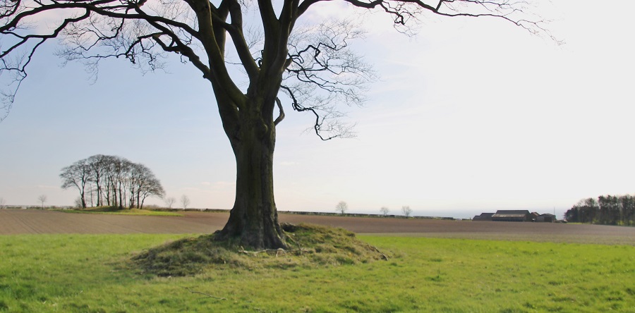 Click for full size image of Callis Wold Barrow Cemetery (PID:164205) Callis Wold Barrow Cemetery