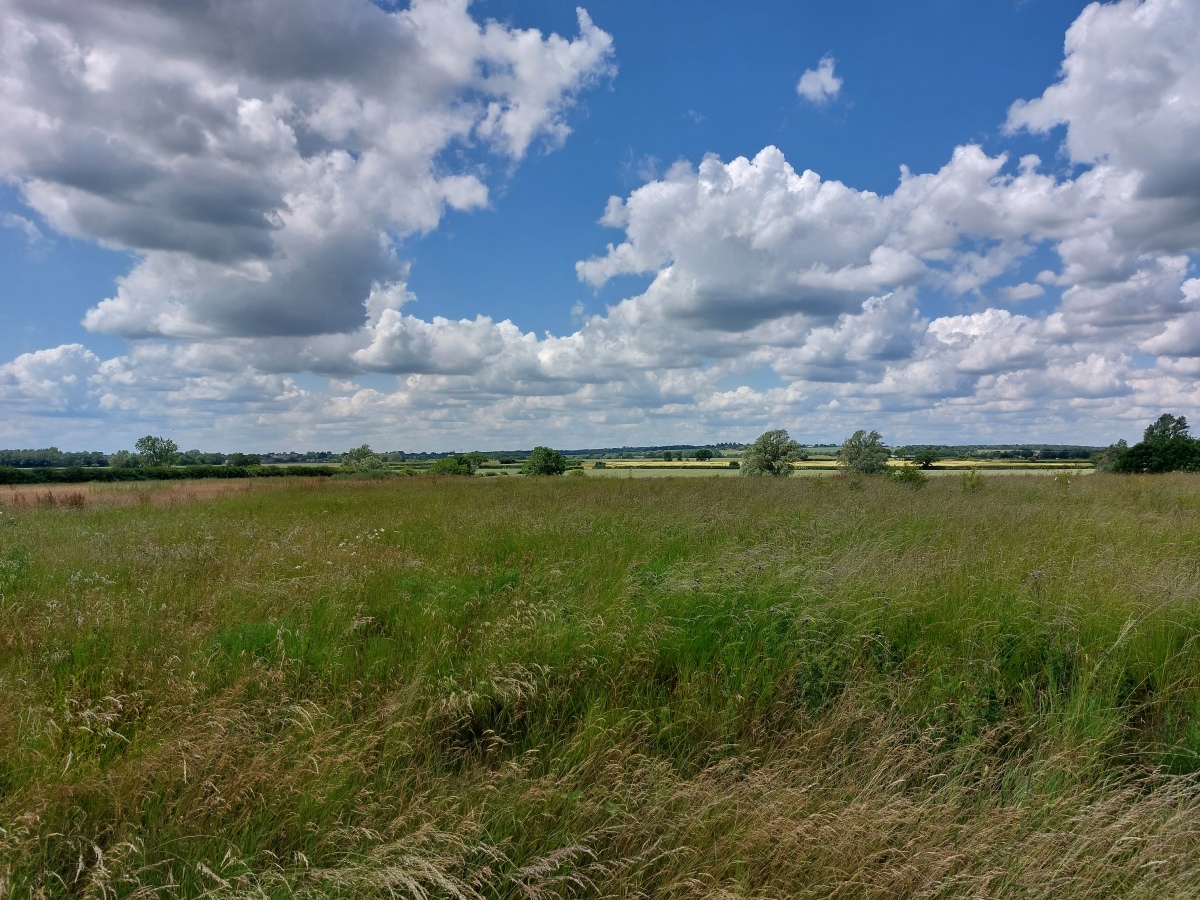 Wigborough Henge