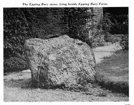 Epping Bury puddingstone