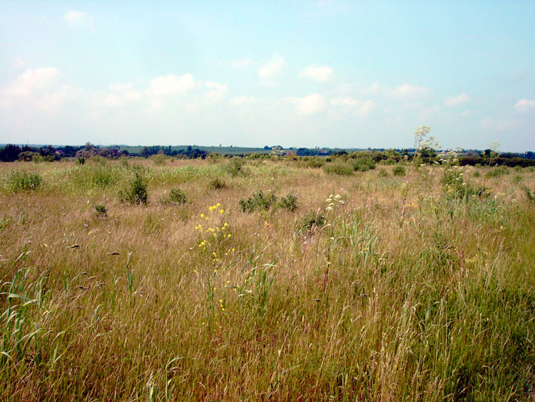 Click for full size image of Wigborough Henge (PID:7707) Wigborough Henge