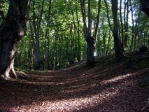 Loughton Camp - PID:16115