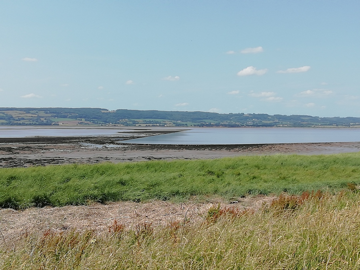 Oldbury-on-Severn Submerged Forest