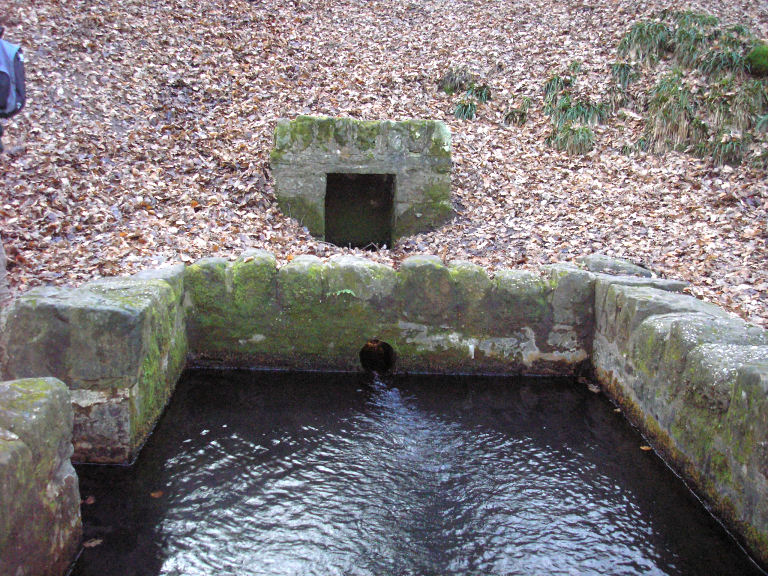 St Anthony's Well (Cinderford)