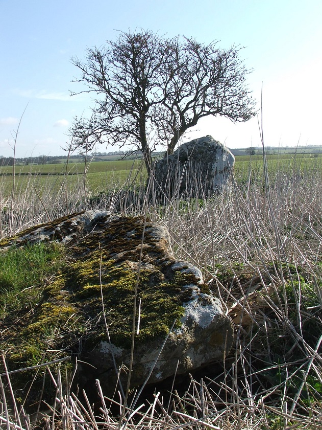 Click for full size image of Hoar Stone at Duntisbourne (PID:109303) Hoar Stone at Duntisbourne