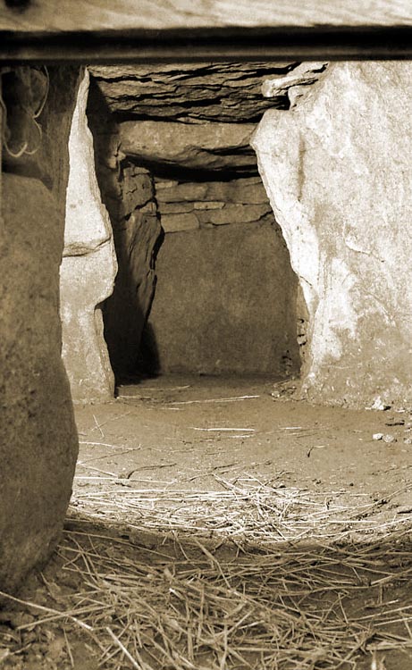 hetty_peglers_tump_chambered_cairn_glos_1972x.jpg