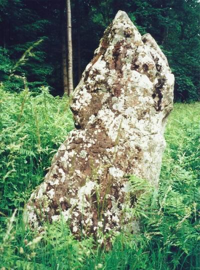 Click for full size image of Long Stone, Staunton (PID:106143) Long Stone, Staunton