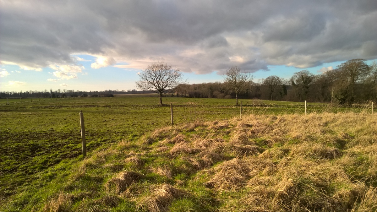 Wellhill Copse Barrow