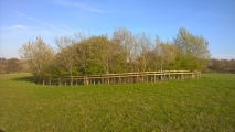 Cow Common Barrow Cemetery