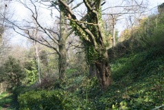 Knole Park Camp - PID:87848