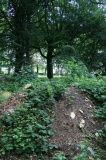Boxwell Lodge - PID:78050