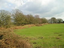 Bury Hill Camp - PID:5931