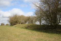 Ladborough Camp - PID:87327