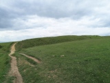 Cleeve Hill (Gloucestershire)