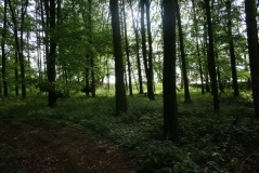 Lamborough Banks - PID:79059