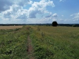 Click for full size image of Leckhampton Hill (PID:230012) Leckhampton Hill